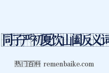 同子严初夏饮山阖反义词是什么意思的图片